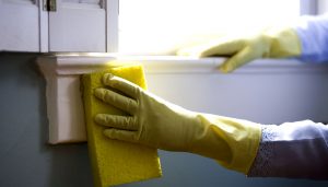 Cleaning Window Sill